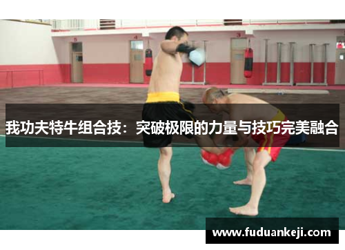 我功夫特牛组合技：突破极限的力量与技巧完美融合